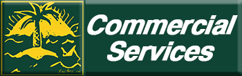 Commercial Lawn Care Service