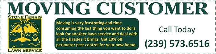 Best Value Lawn Care